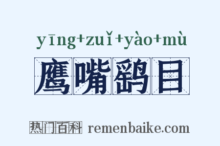 鹰嘴鹞目是什么意思的图片